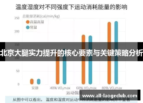 北京大腿实力提升的核心要素与关键策略分析