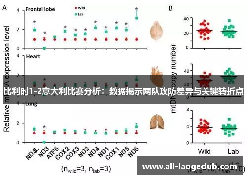 比利时1-2意大利比赛分析：数据揭示两队攻防差异与关键转折点