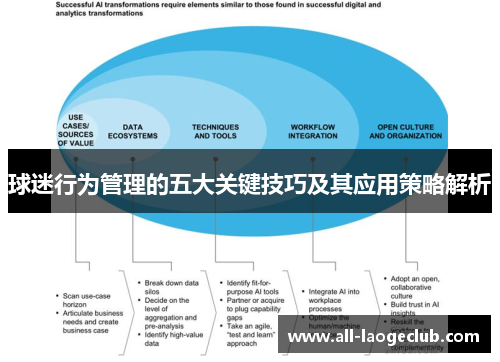 球迷行为管理的五大关键技巧及其应用策略解析
