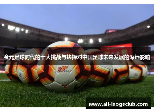 金元足球时代的十大挑战与抉择对中国足球未来发展的深远影响