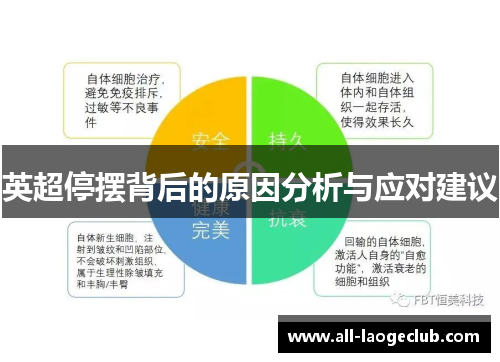 英超停摆背后的原因分析与应对建议