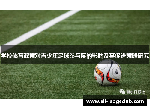 学校体育政策对青少年足球参与度的影响及其促进策略研究