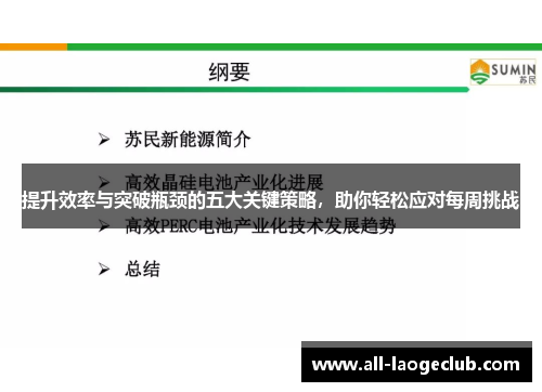 提升效率与突破瓶颈的五大关键策略,助你轻松应对每周挑战 提升效率与突破瓶颈的五大关键策略,助你轻松应对每周挑战